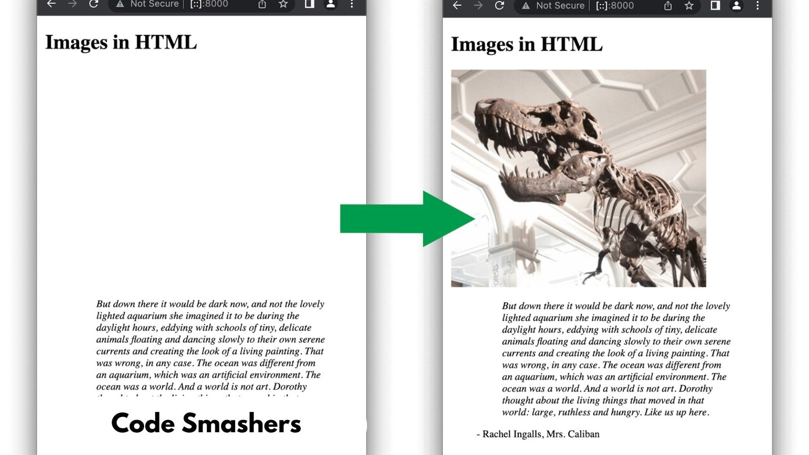 HTML Images