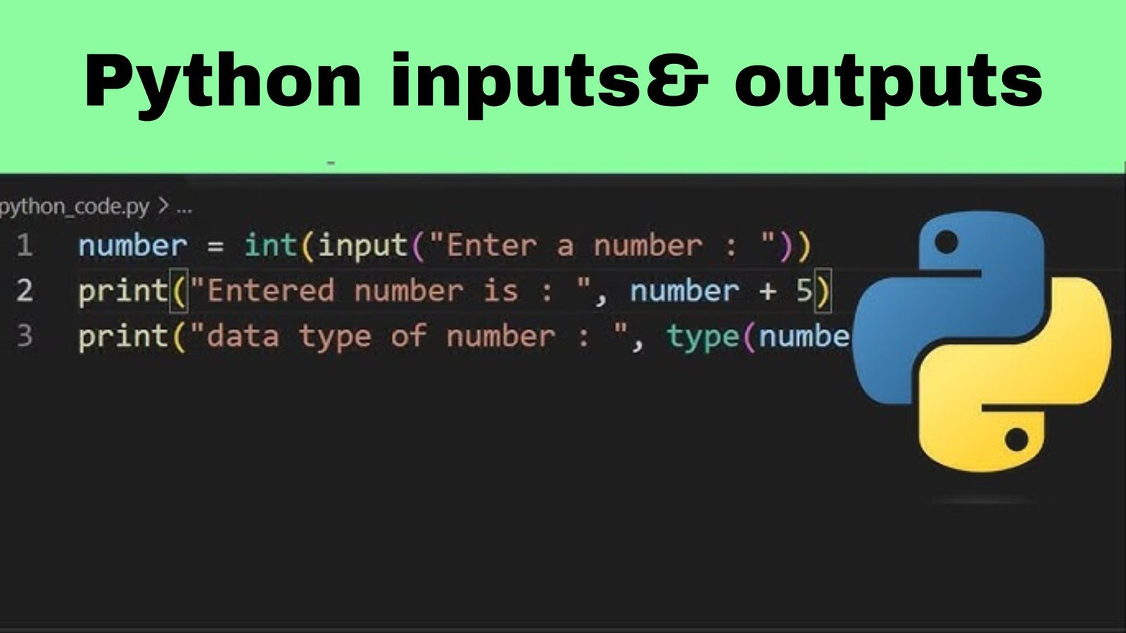 Python inputs and outputs